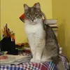 Отзыв от Лера Румянцева